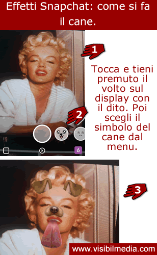 effetti su snapchat cane
